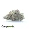 Sweet Diesel