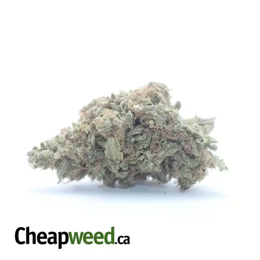 Sweet Diesel