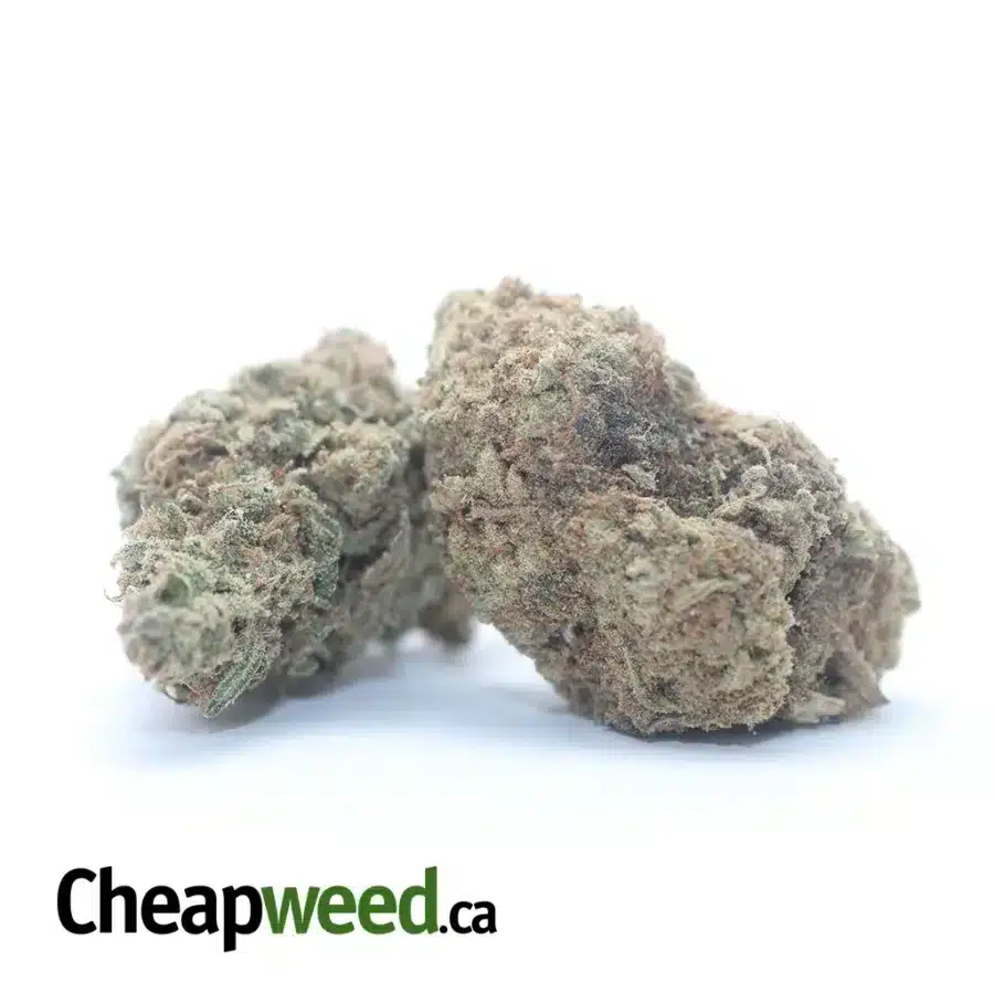 Alternative view of Sweet Diesel