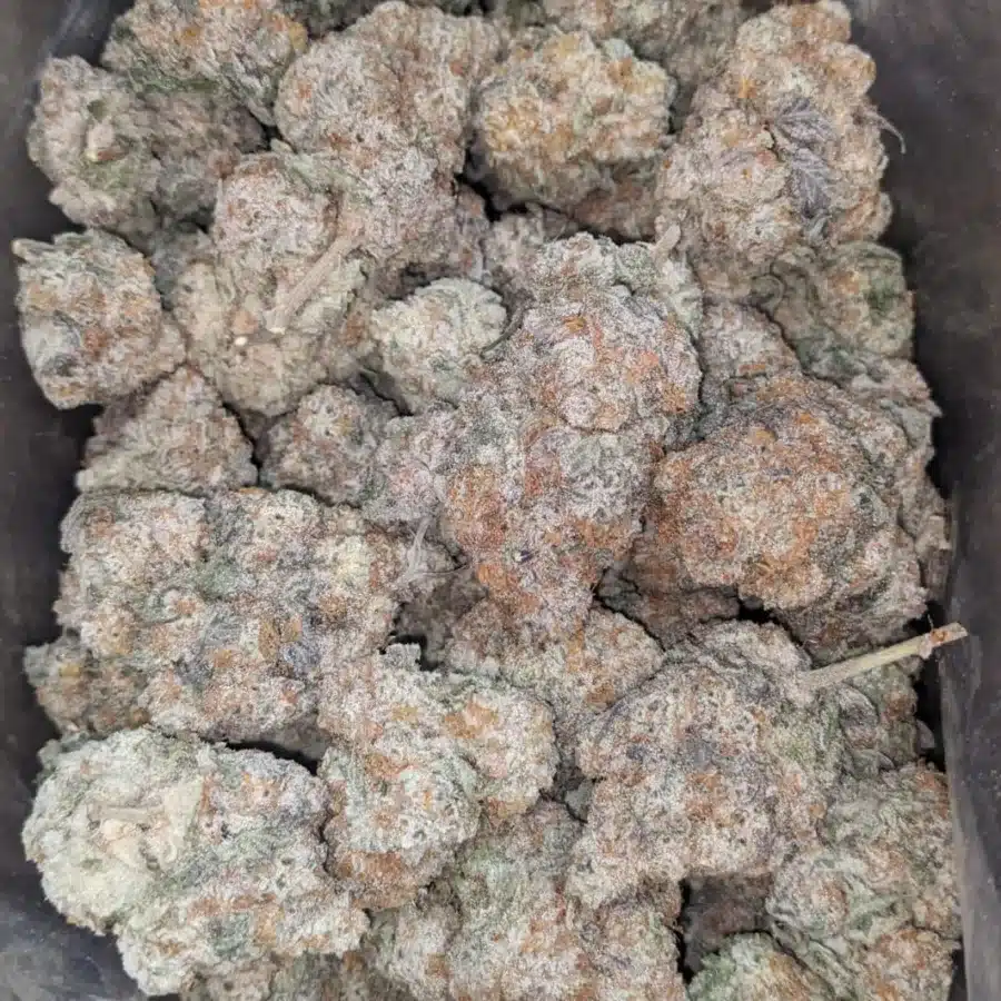 Slurricane 1 I Slurricane