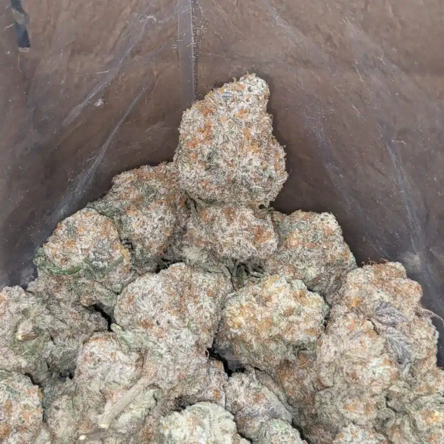 Slurricane 3 I Slurricane