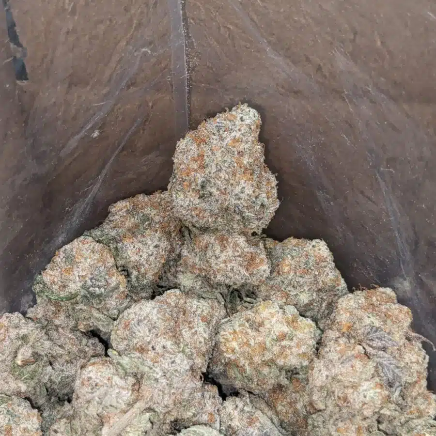 Slurricane 4 I Slurricane