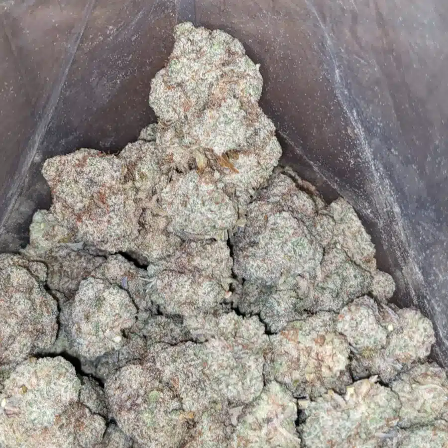 Stardawg 1 1 I $ 57 Oz - Stardawg
