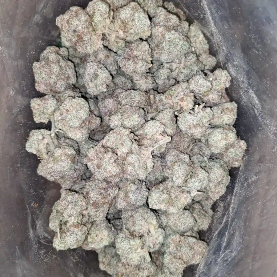 Stardawg 2 1 I $ 57 Oz - Stardawg
