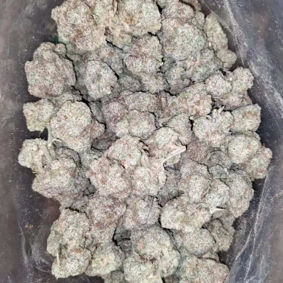 Stardawg 3 1 I $ 57 Oz - Stardawg