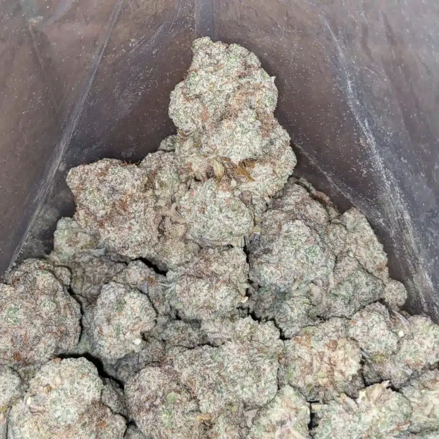 Stardawg 4 I $ 57 Oz - Stardawg