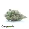 $ 39 Oz - Thai Haze
