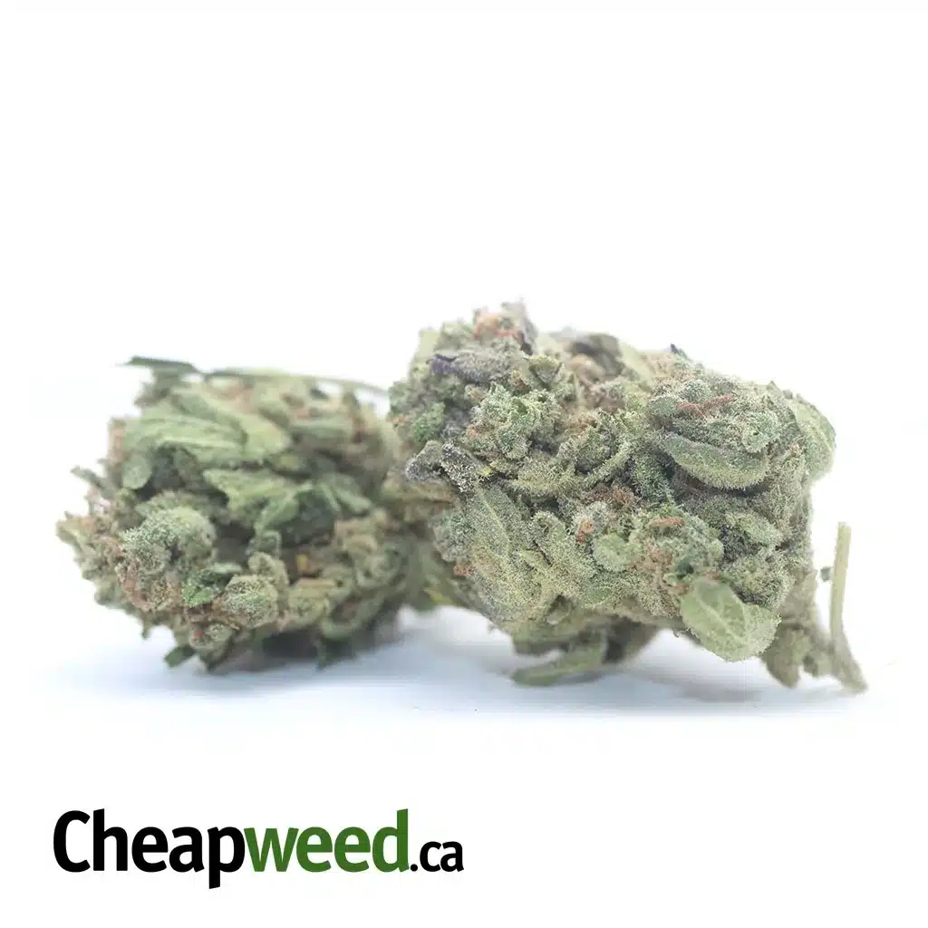 Thai Haze - Image 2