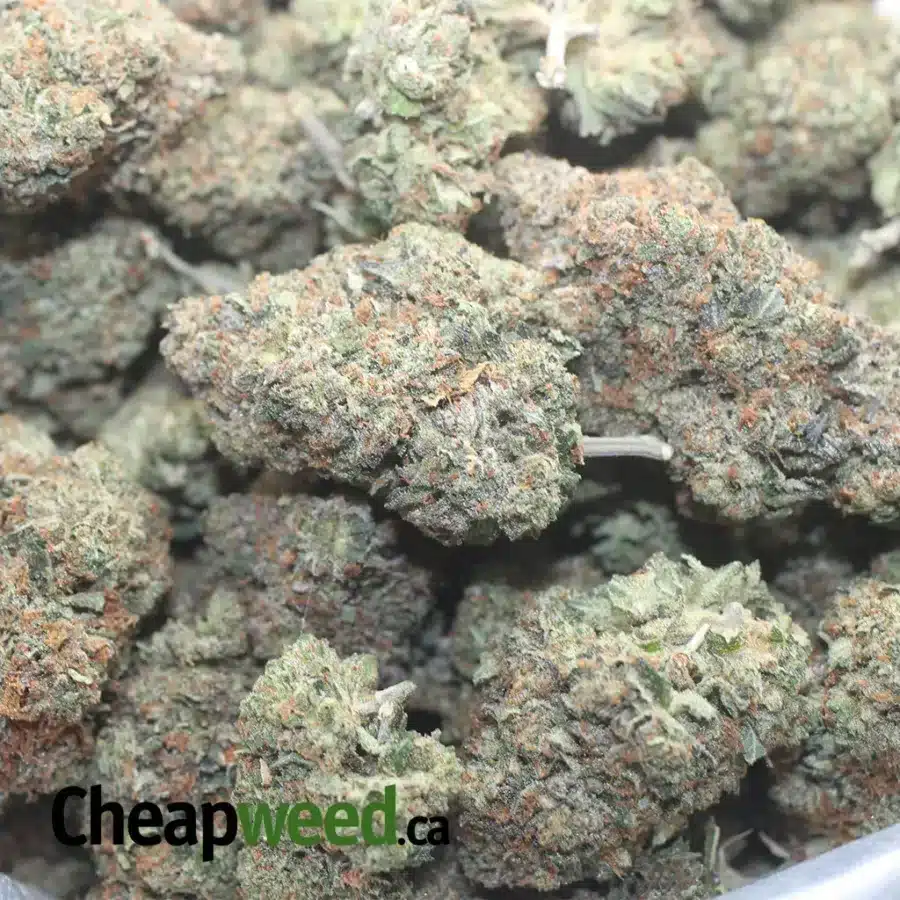 TONYS BRUCE BANNER 1 I Tony's Bruce Banner