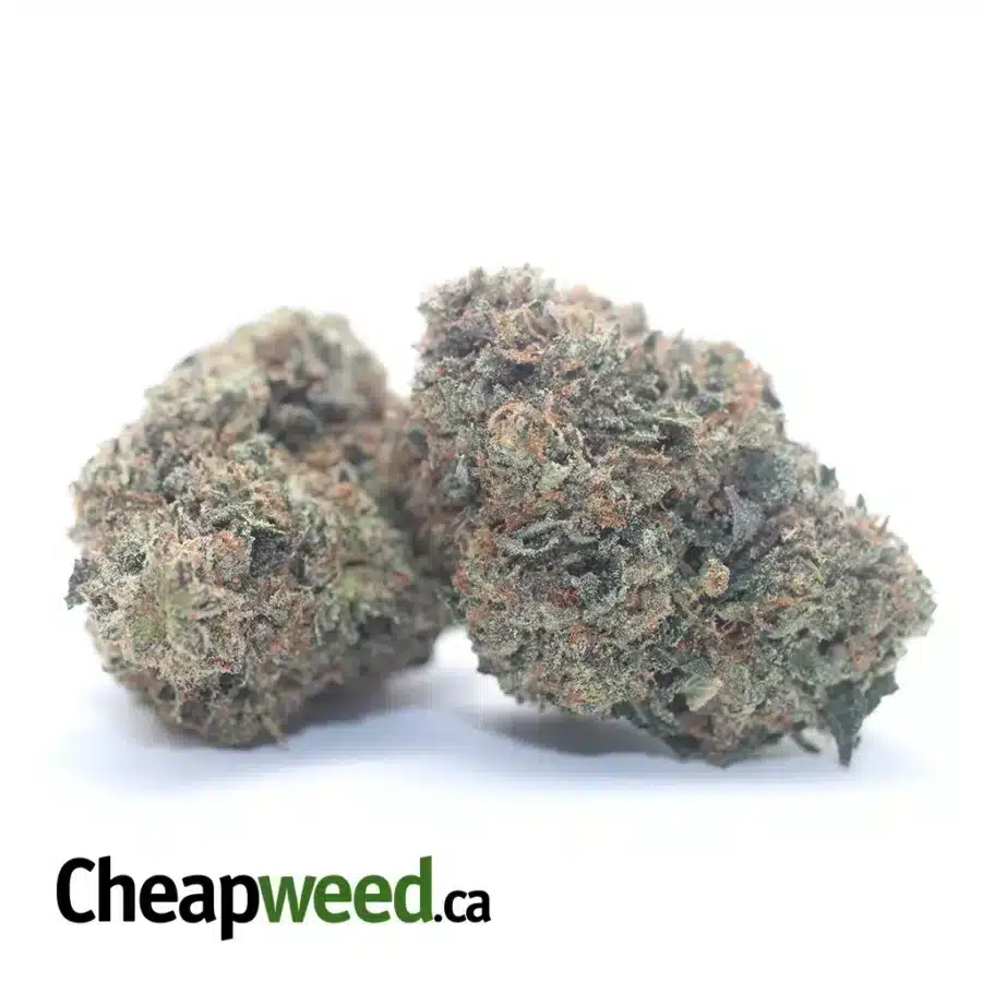 Bruce Banner 36% Thca Bulk