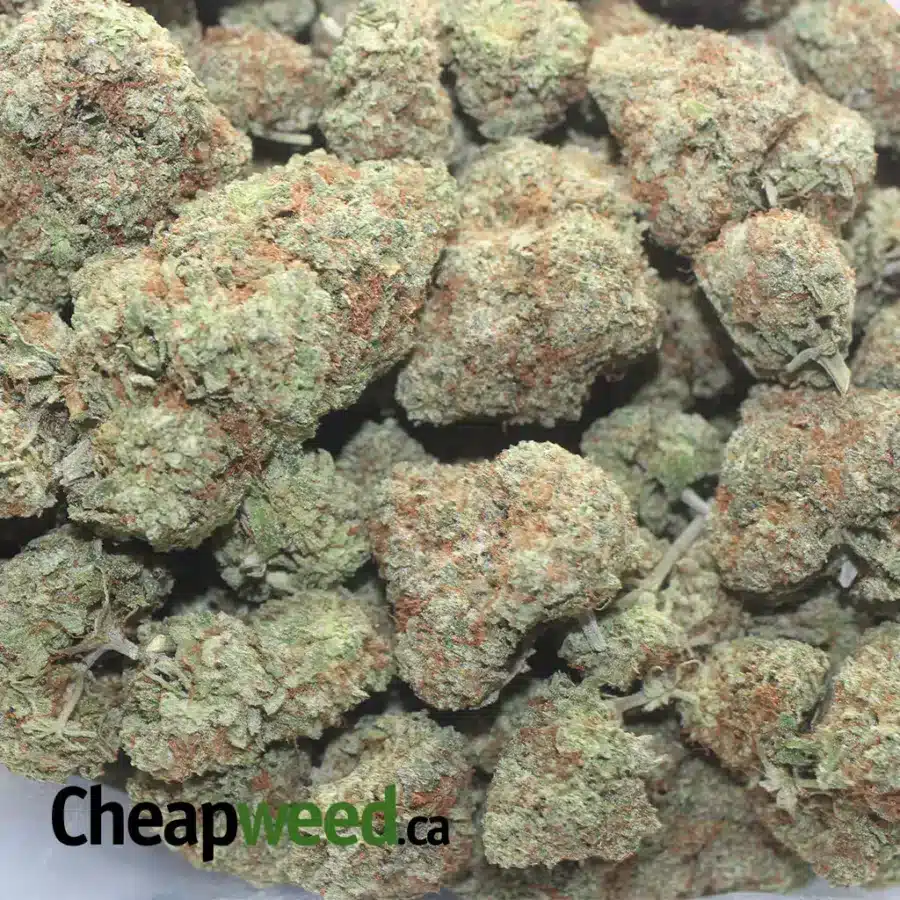 TONYS PINEAPPLE EXPRESS 1 I Tony's Pineapple