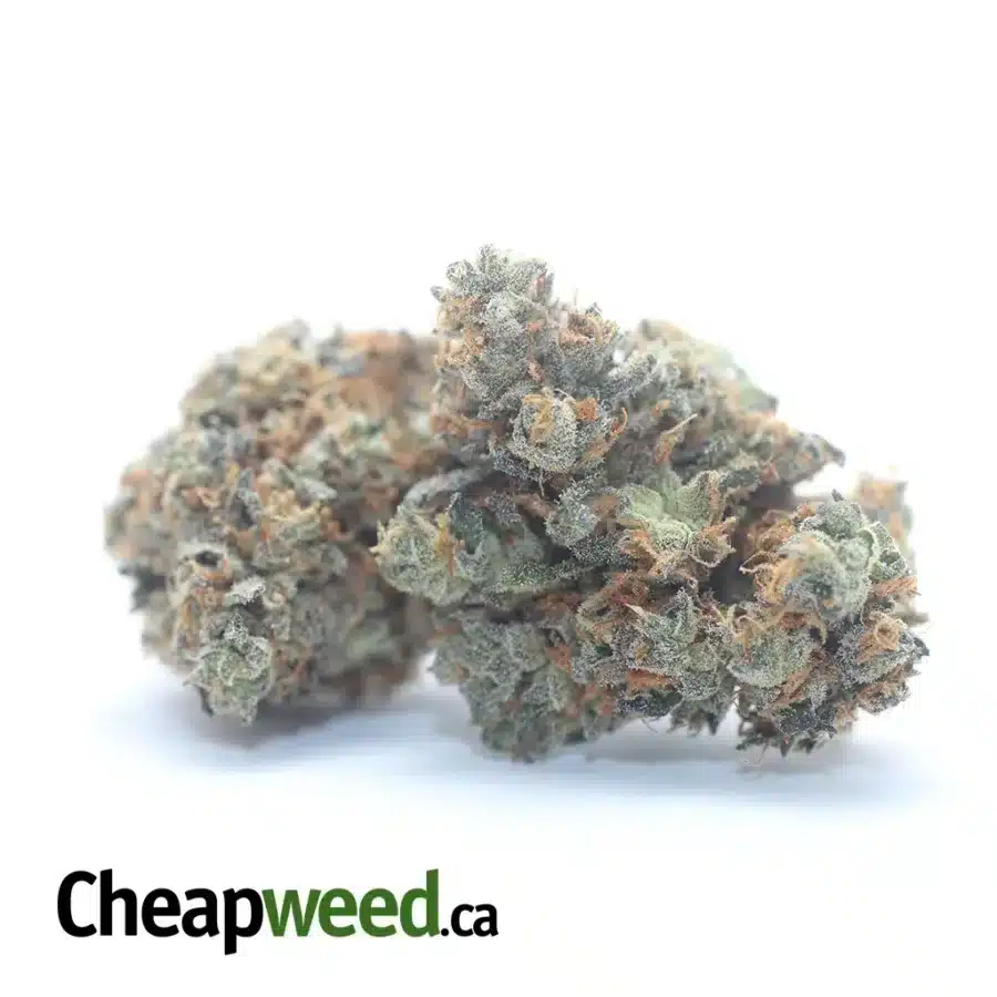 Alternative view of Tony's Pink Gas