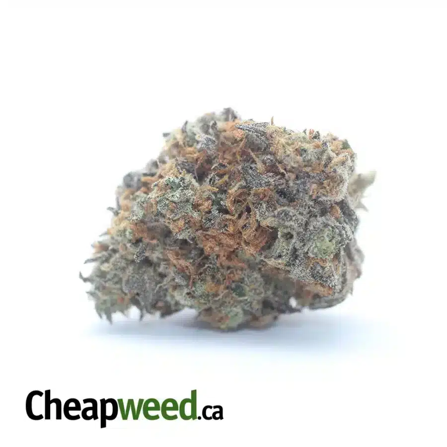 Tony's Pink Gas