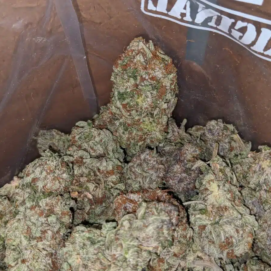 Tonys Pink Gas 1 I Tony's Pink Gas
