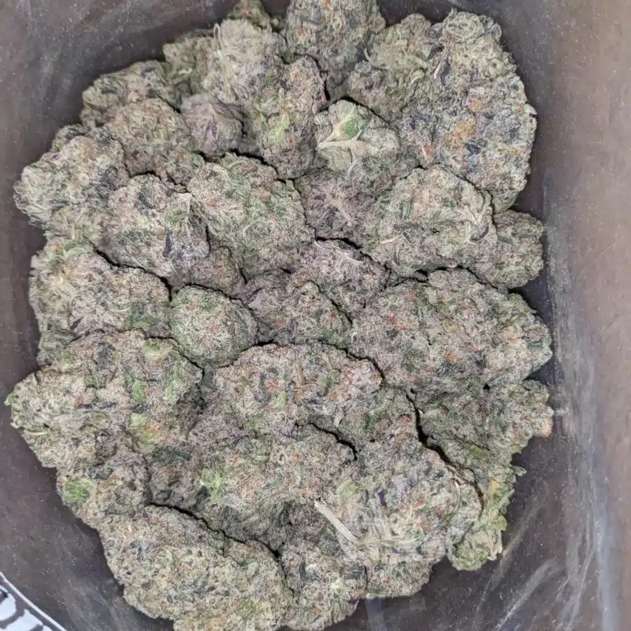 Tropical banana 3 I Tropical Banana