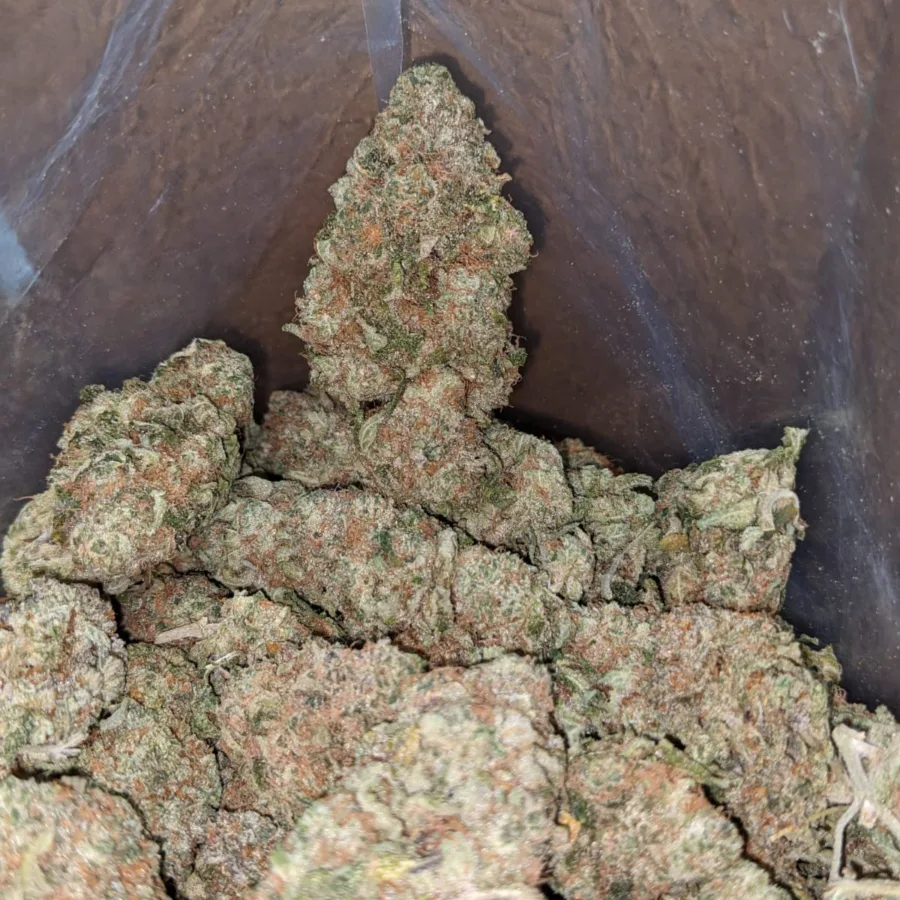 White Truffle - Image 2