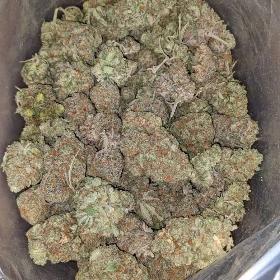 Afghan 1 1 I Afghan Kush