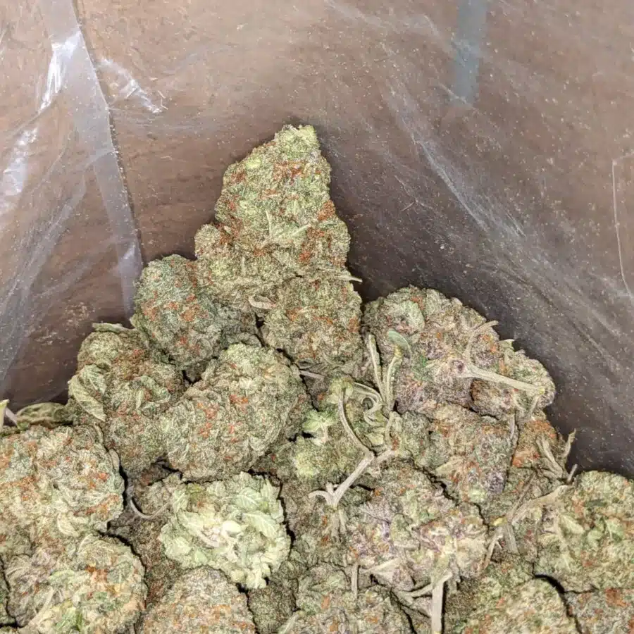Afghan 4 I Afghan Kush