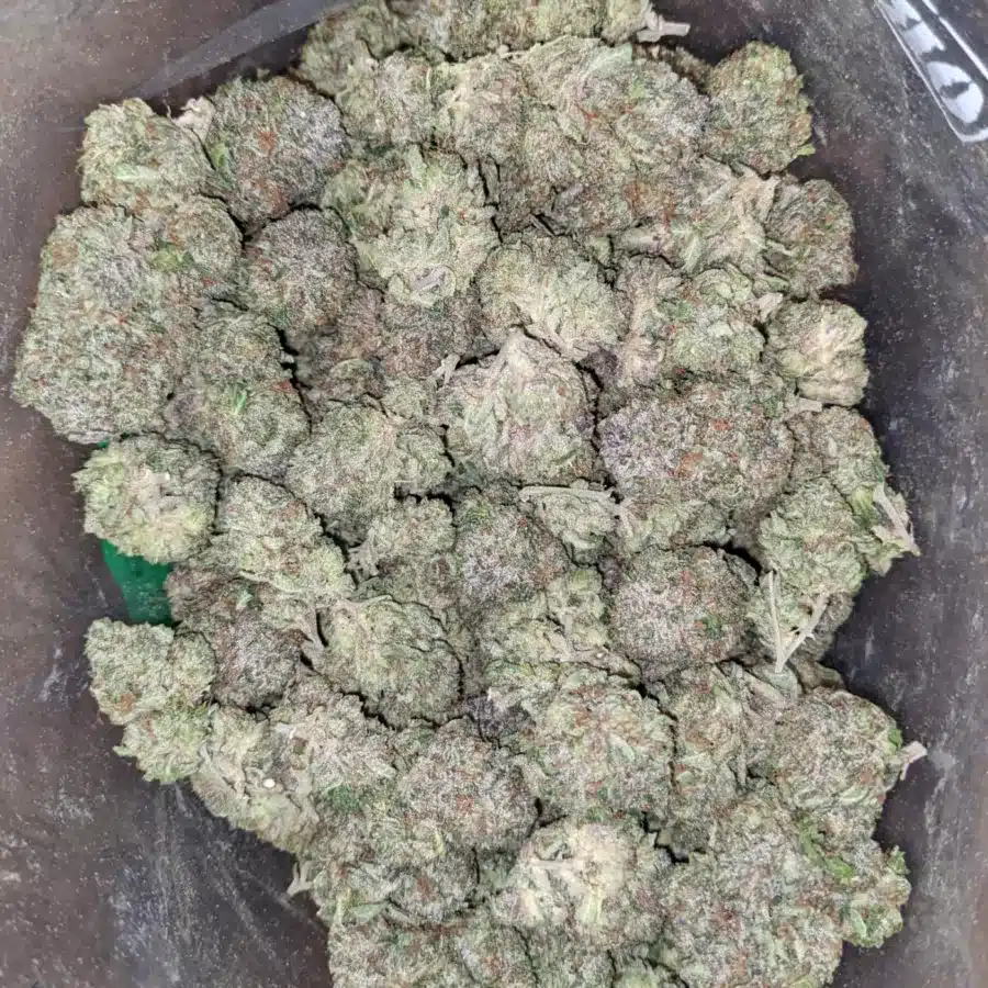 Astropink 2 1 I $ 65 Oz - Astropink