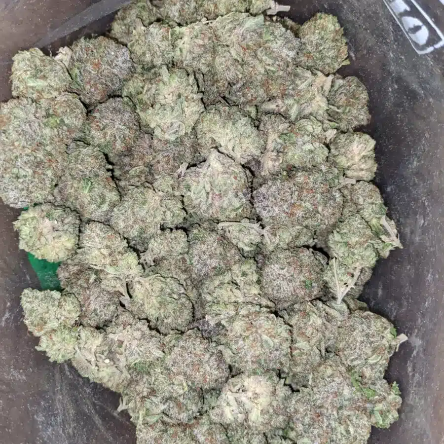 Astropink 4 I $ 65 Oz - Astropink