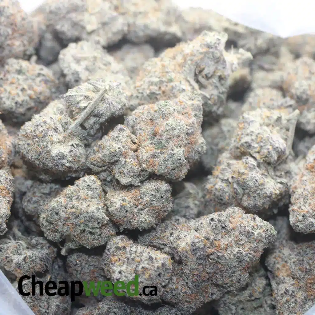 $ 62 Oz - Blackberry Cake - Image 3
