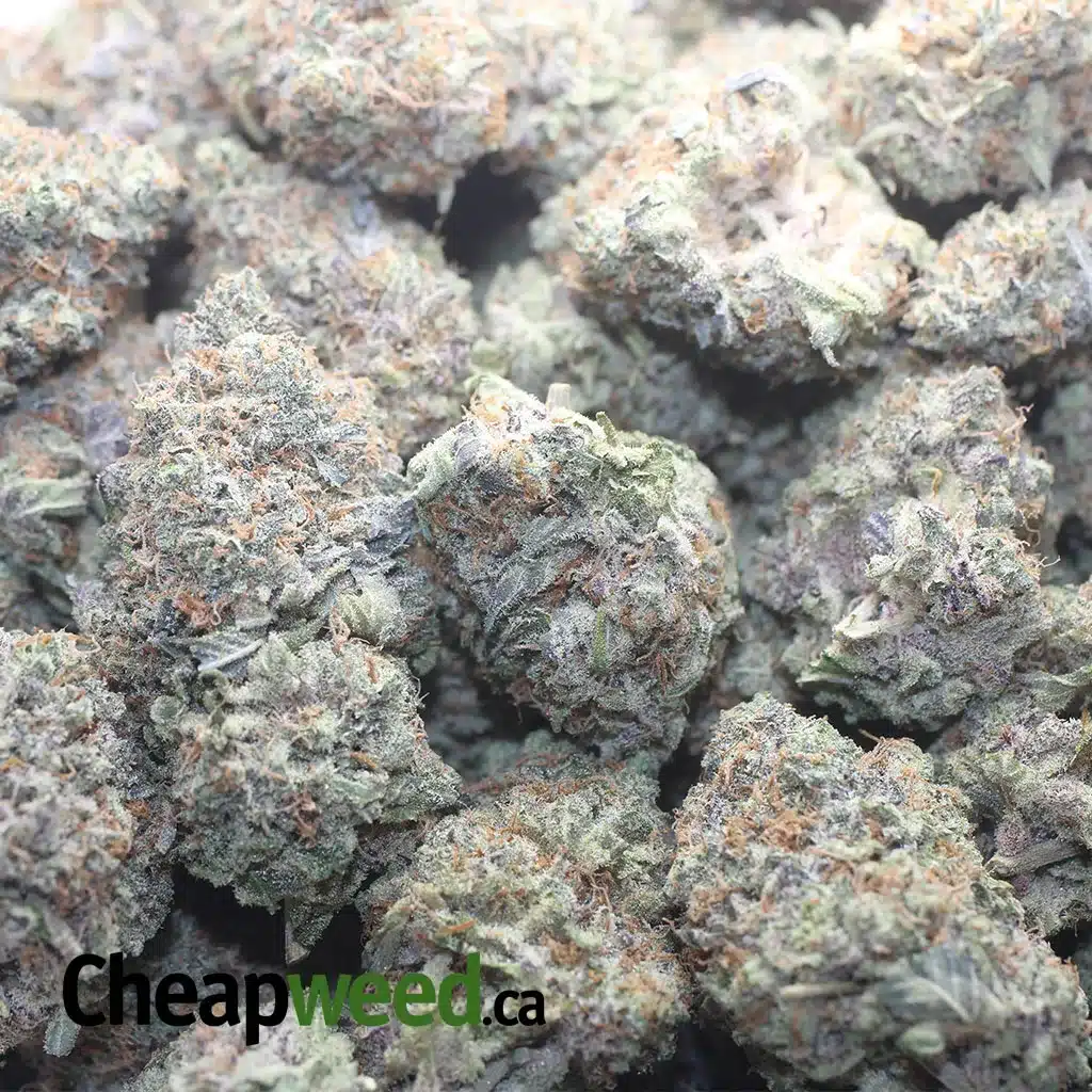 $ 62 Oz - Blue Cookies - Image 3