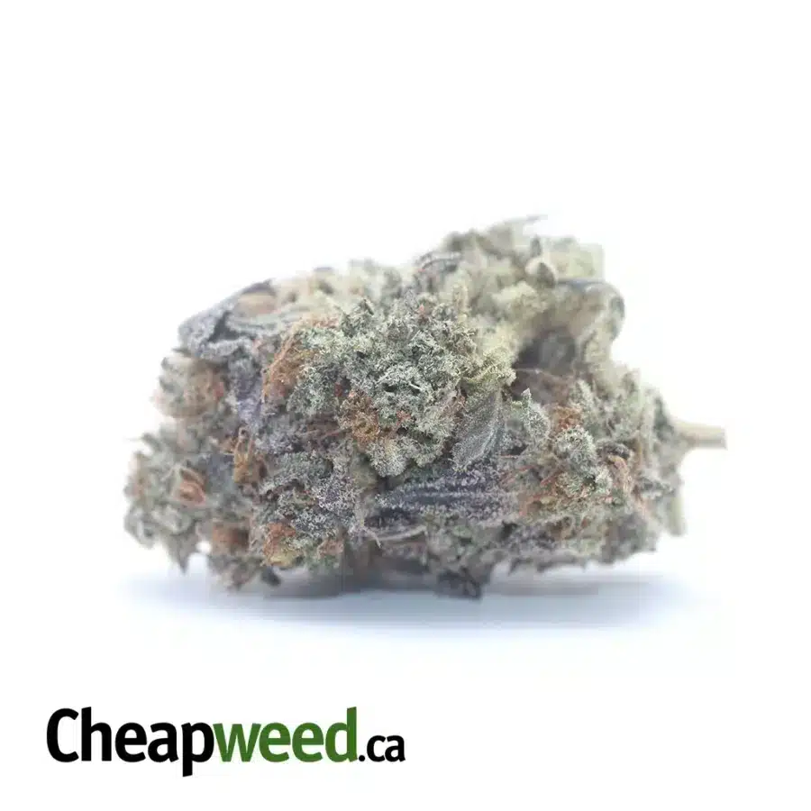 $ 62 Oz - Blue Cookies