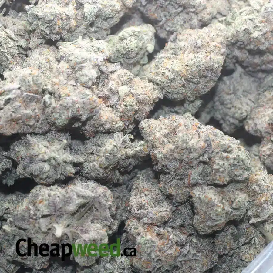 $ 67 Oz - Blueberry Cheesecake - Image 3