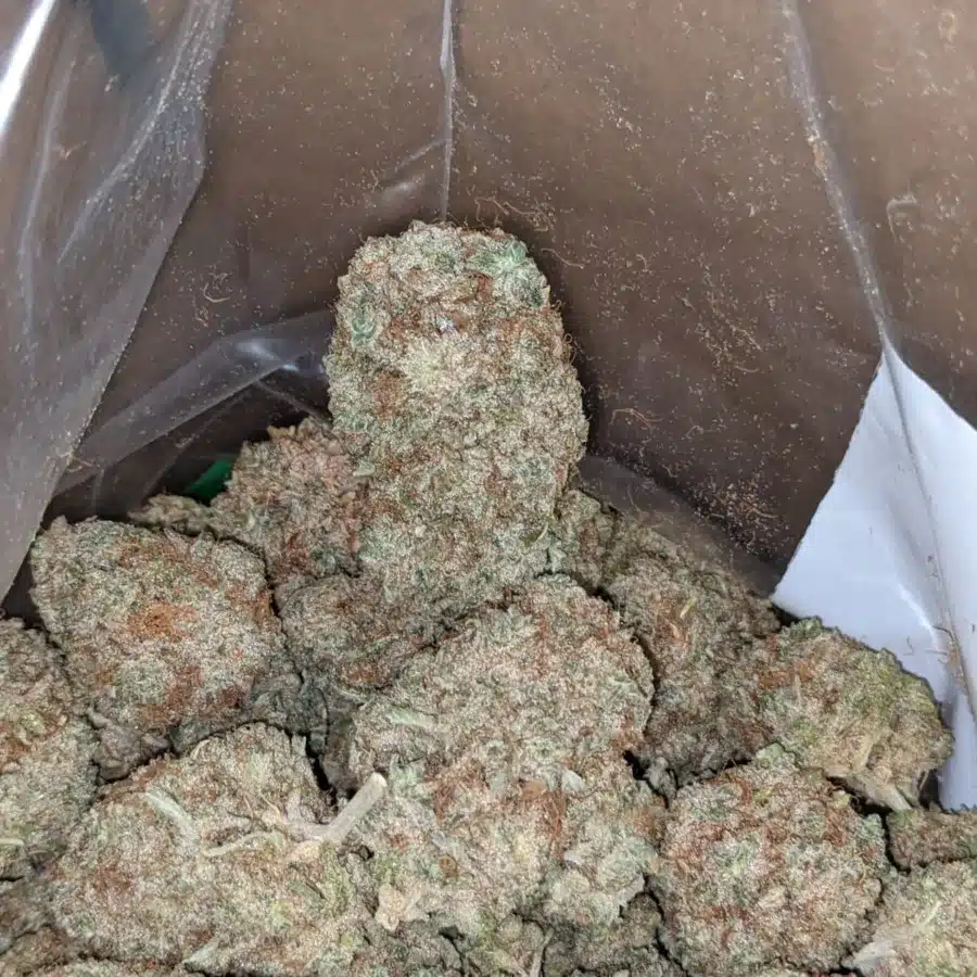 Blackberry Cake 3 2 I Blackberry Cake