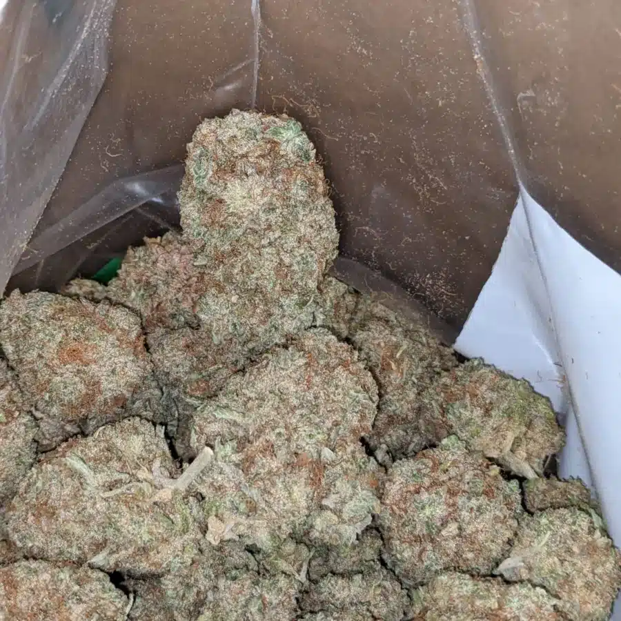 Blackberry Cake 4 1 I Blackberry Cake