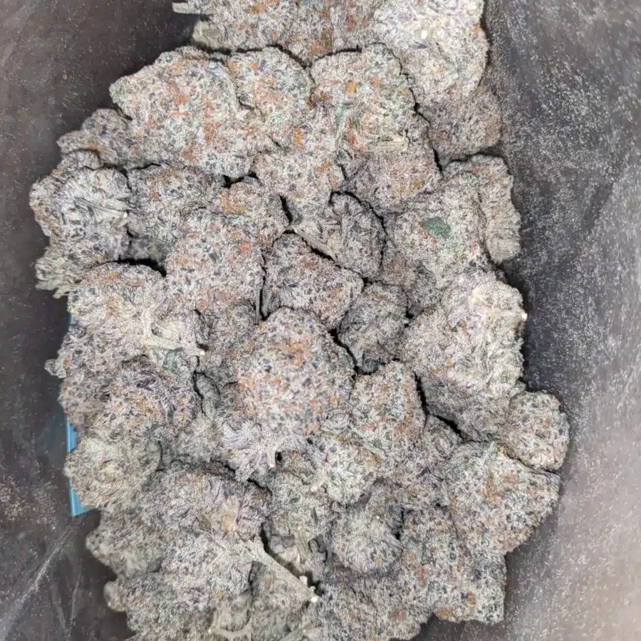 Blackberry cake 2 I $ 62 Oz - Blackberry Cake