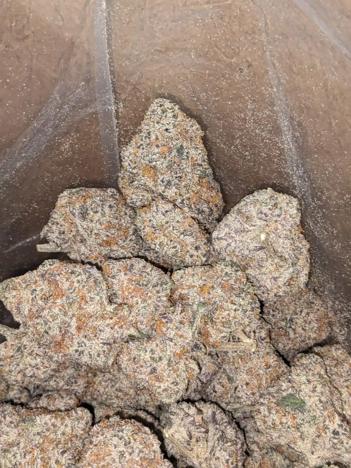 $ 62 Oz - Blackberry Cake - Image 7