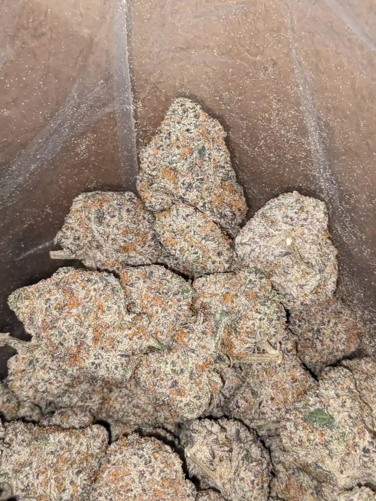 $ 62 Oz - Blackberry Cake - Image 6