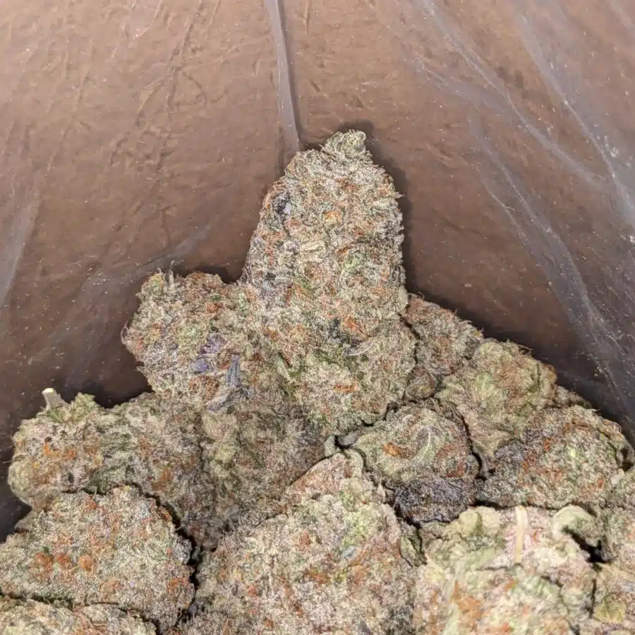 Blue cookies 2 I $ 62 Oz - Blue Cookies