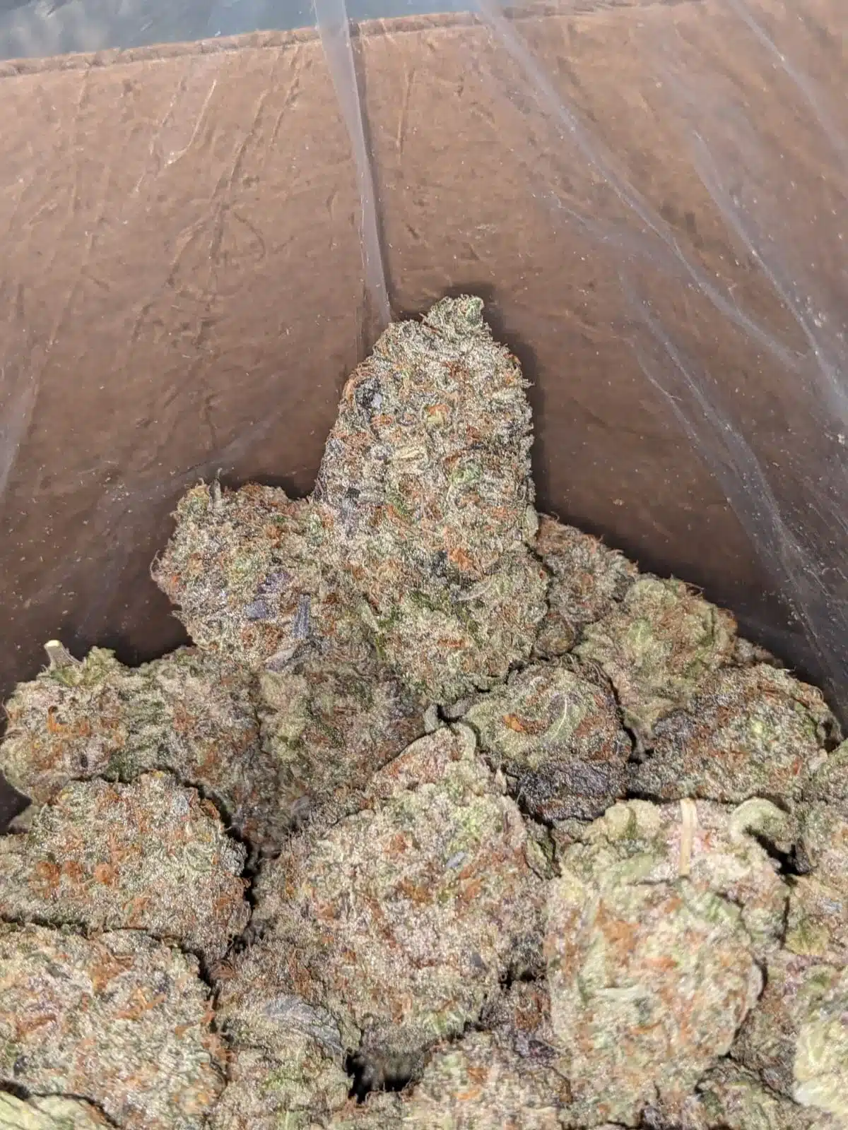 $ 62 Oz - Blue Cookies - Image 4