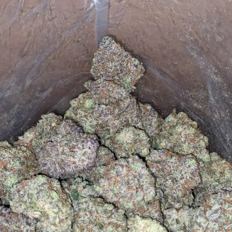 Blueberry cheesecake 3 1 I Blueberry Cheesecake