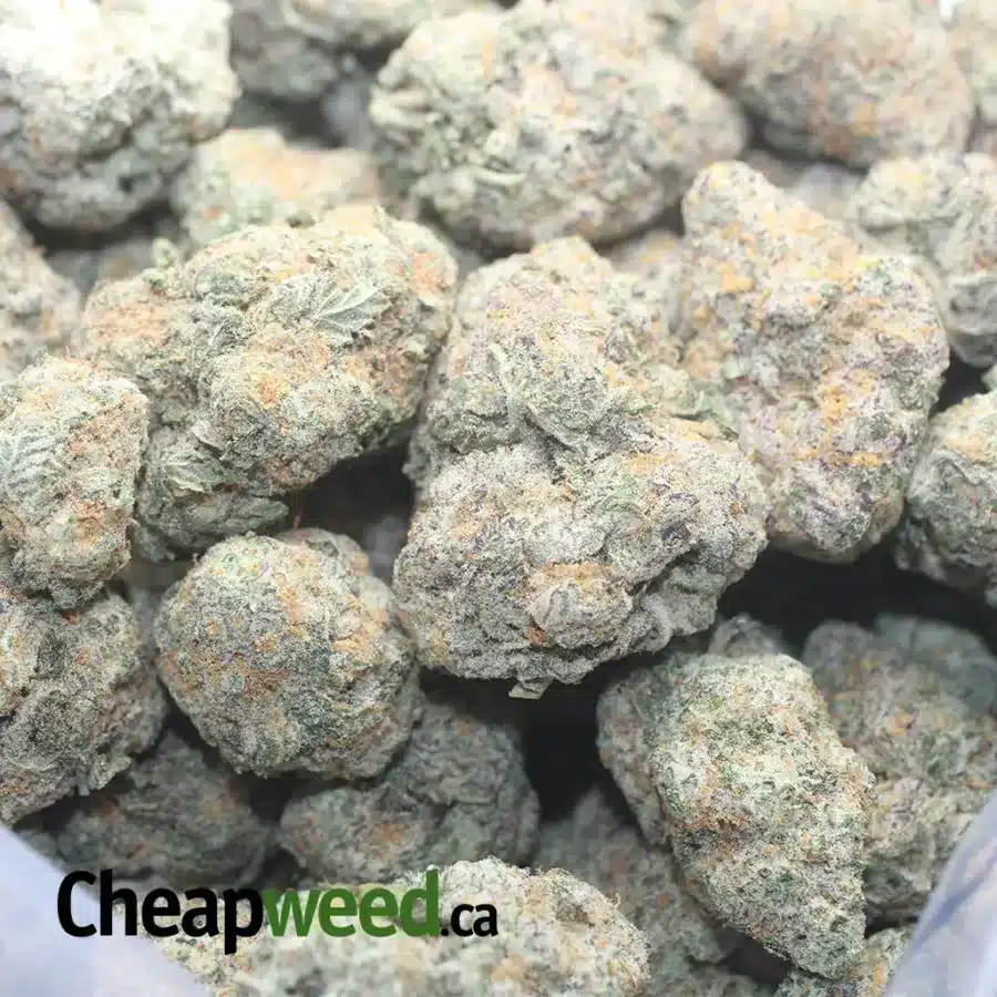 CHEM DE LA CHEM 1 I $ 68 Oz - Chem De La Chem