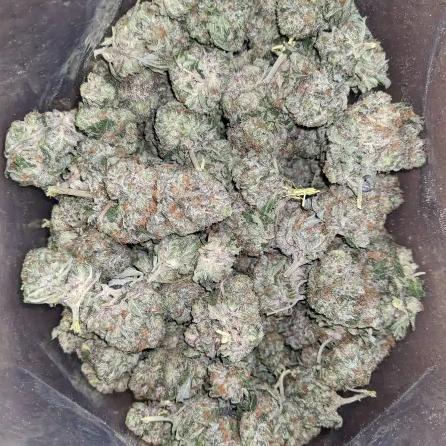 Comatose 2 I $ 65 Oz - Comatose