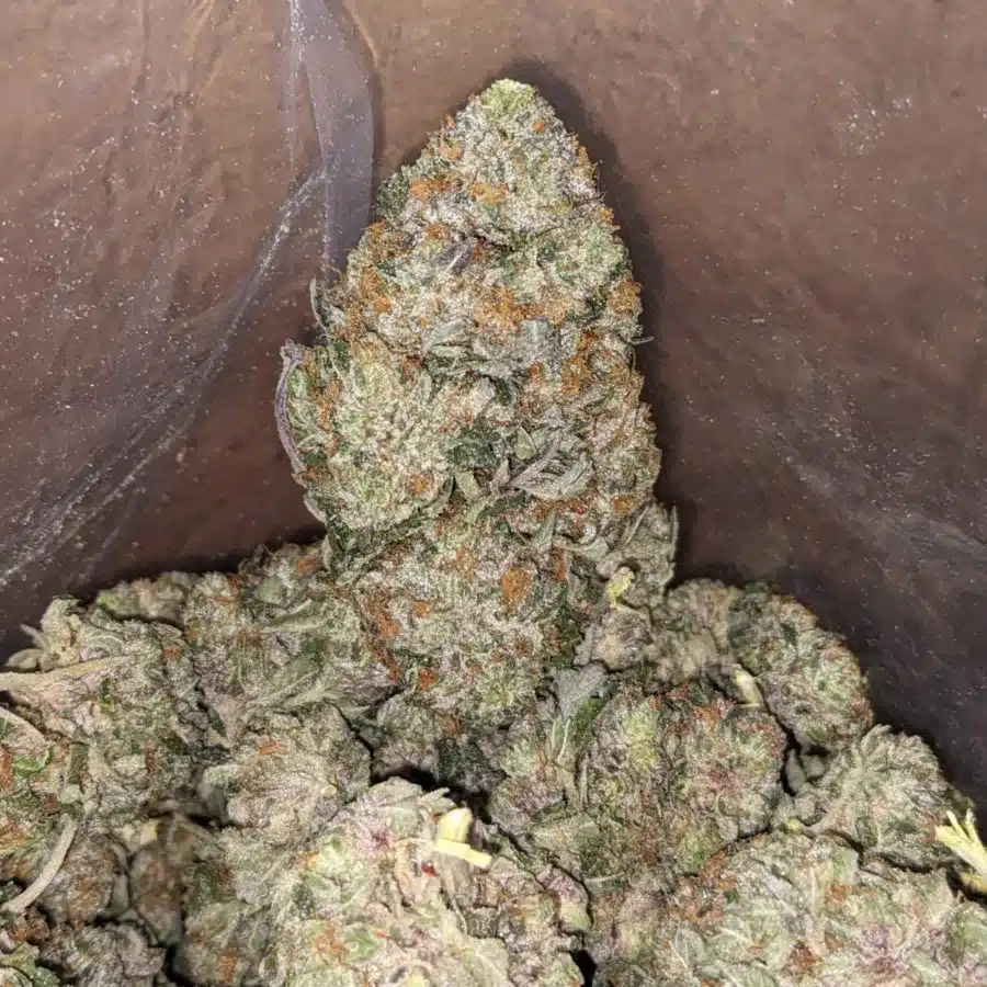 Comatose 4 I $ 65 Oz - Comatose