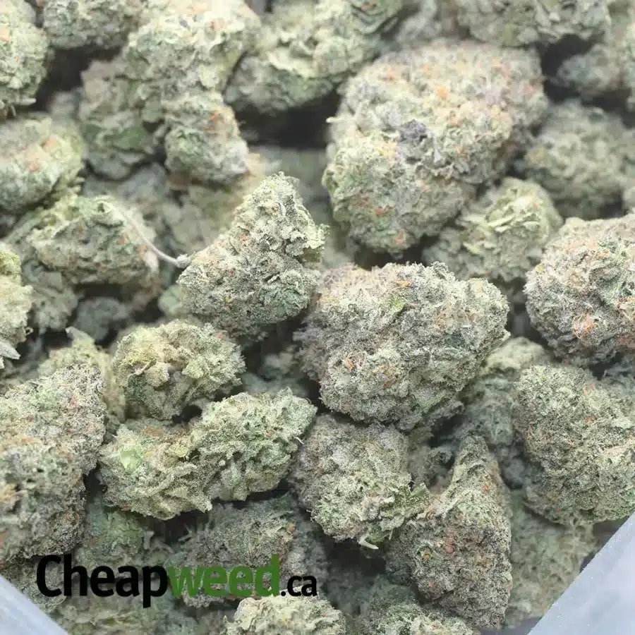 FROSTED KUSH CAKES 1 I Frosted Kush Cakes