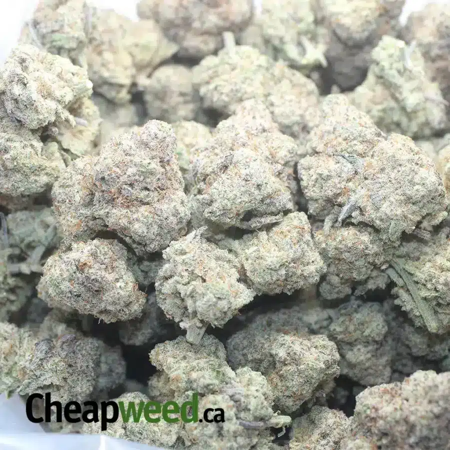 FUNKY CHARMS 1 I $ 60 Oz - Funky Charms