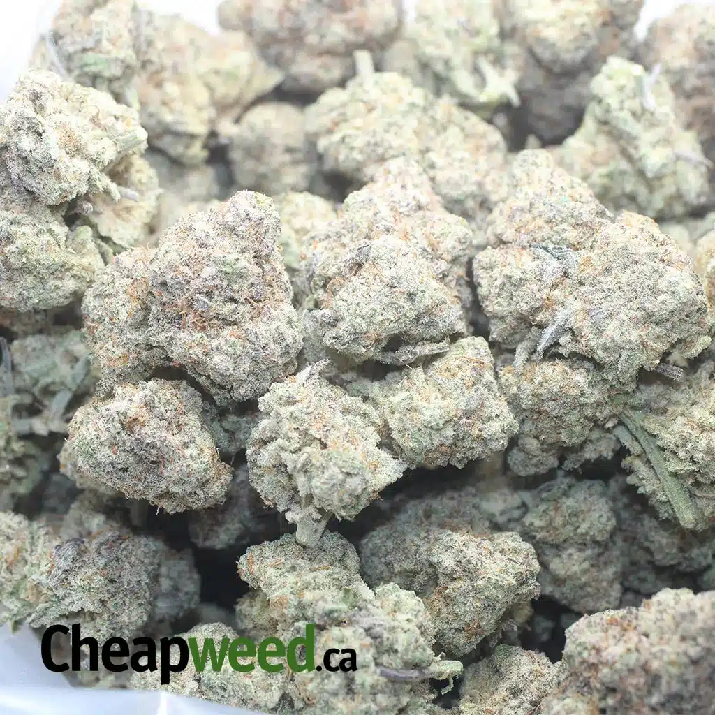 $ 60 Oz - Funky Charms - Image 3