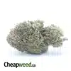 $ 57 Oz - Funky Monkey