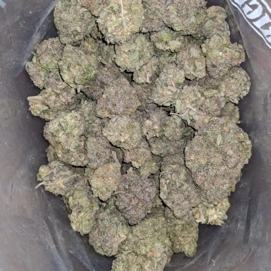 Funky monkey 2 1 I Funky Monkey