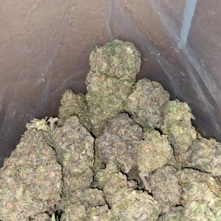 Funky monkey 3 1 I Funky Monkey