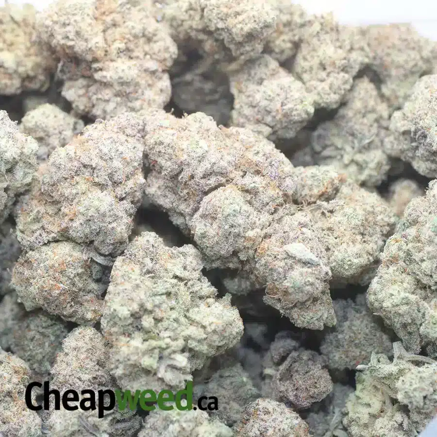 GALAXY COOKIES 1 I Galaxy Cookies