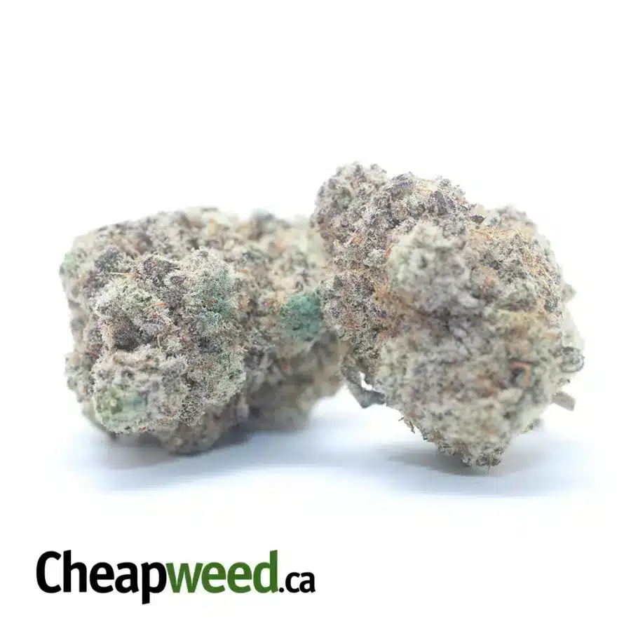 GALAXY COOKIES 3 I Galaxy Cookies