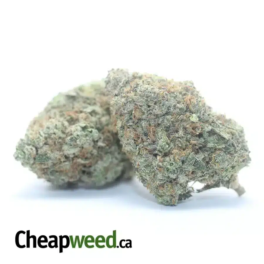GASBERRY 3 1 I $ 69 Oz - Gas Berry
