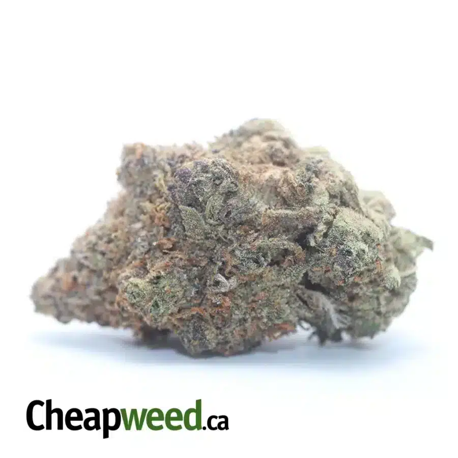 Gelato #33