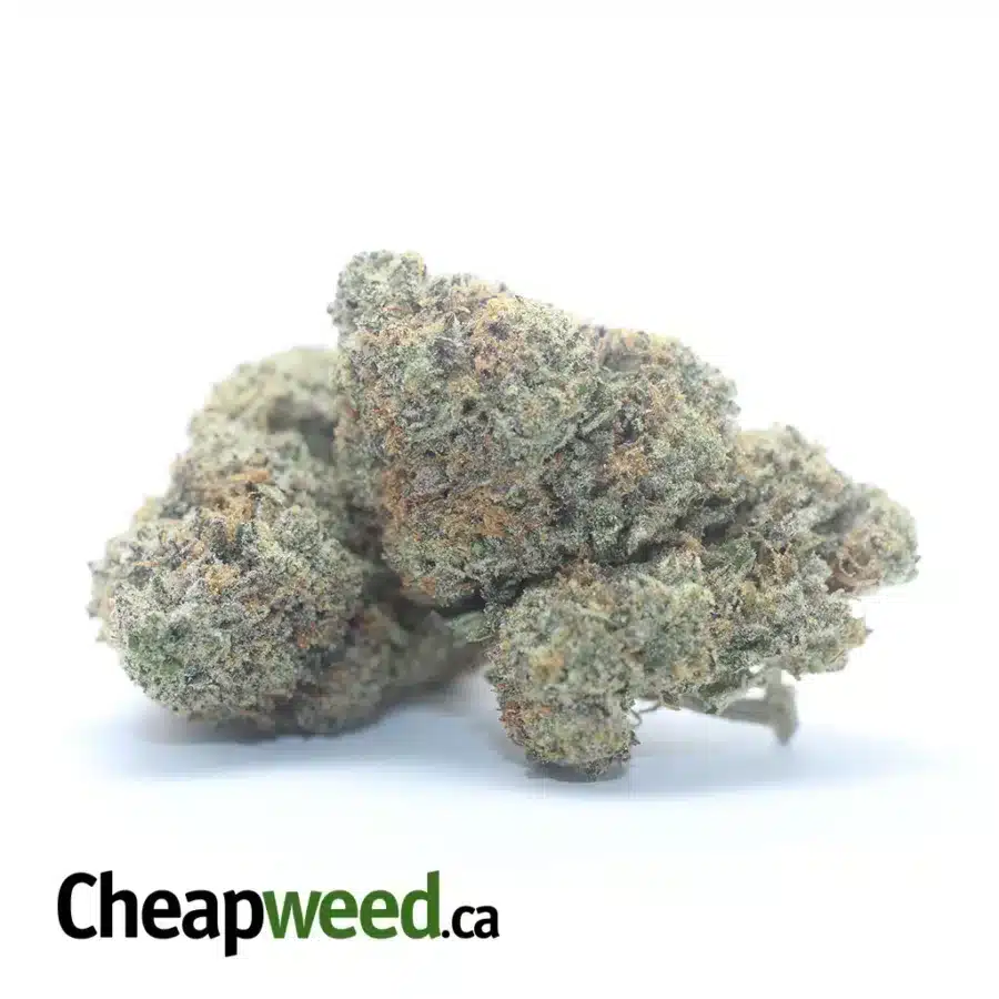 GHOST TRAIN HAZE 3 I $ 69 Oz - Ghost Train Haze
